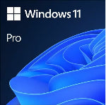 Microsoft Windows 11 Pro 64-bit - Box Pack - 1 License - 1 - Flash Drive - English - PC